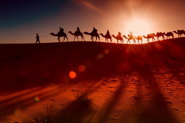 arab-people-with-camel-caravan_1004-19
